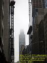 NY (335)
